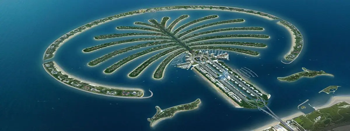 Dubai’de Evcil Hayvanlarla Yaşam: Sahiplenme, Kurallar ve Sokaktaki Hayvanlar 6 image 32